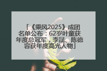 《乘风2025》成团名单公布：62岁叶童获年度总冠军，李晟、陈德容获年度高光人物