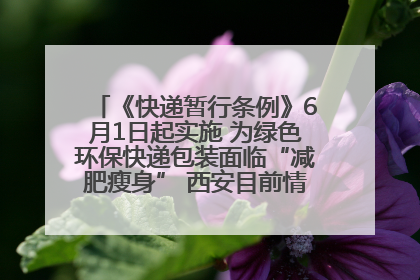 《快递暂行条例》6月1日起实施 为绿色环保快递包装面临“减肥瘦身” 西安目前情况如何？记者探访