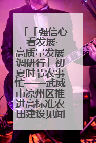 「强信心 看发展·高质量发展调研行」初夏时节农事忙——武威市凉州区推进高标准农田建设见闻