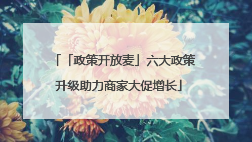 「政策开放麦」六大政策升级助力商家大促增长