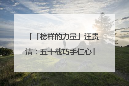 「榜样的力量」汪贵清：五十载巧手仁心