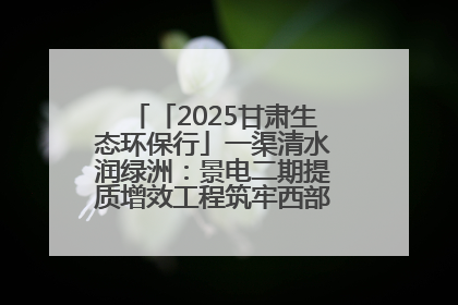 「2025甘肃生态环保行」一渠清水润绿洲：景电二期提质增效工程筑牢西部生态安全屏障