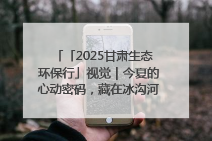 「2025甘肃生态环保行」视觉｜今夏的心动密码，藏在冰沟河的潋滟波光里