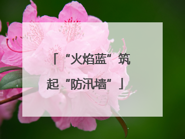 “火焰蓝”筑起“防汛墙”
