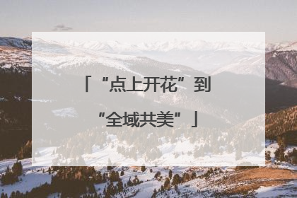 “点上开花”到“全域共美”