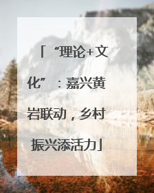 “理论+文化”：嘉兴黄岩联动，乡村振兴添活力