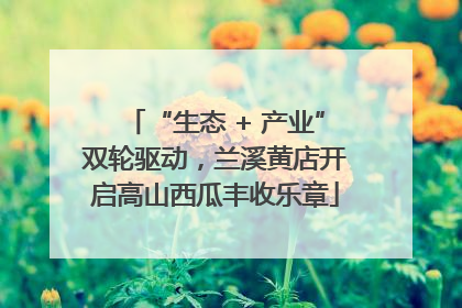 “生态 + 产业”双轮驱动，兰溪黄店开启高山西瓜丰收乐章