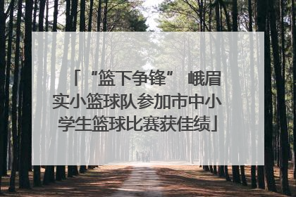 “篮下争锋” 峨眉实小篮球队参加市中小学生篮球比赛获佳绩