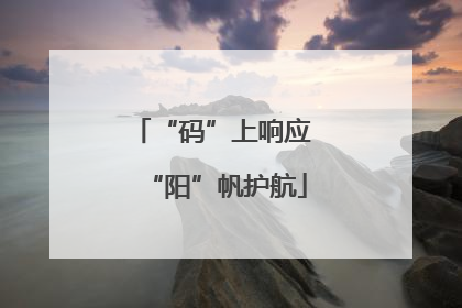 “码”上响应 “阳”帆护航