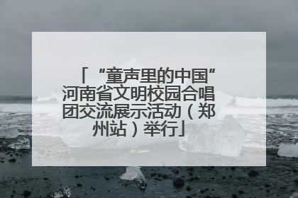 “童声里的中国”河南省文明校园合唱团交流展示活动（郑州站）举行