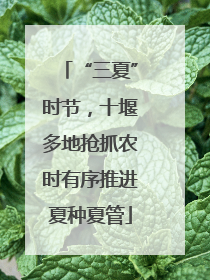 “三夏”时节，十堰多地抢抓农时有序推进夏种夏管