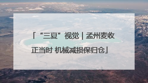 “三夏”视觉｜孟州麦收正当时 机械减损保归仓