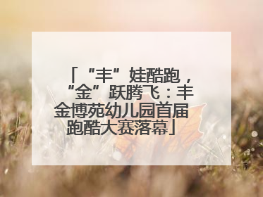“丰”娃酷跑，“金”跃腾飞：丰金博苑幼儿园首届跑酷大赛落幕