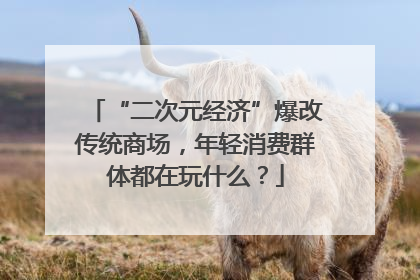 “二次元经济”爆改传统商场，年轻消费群体都在玩什么？