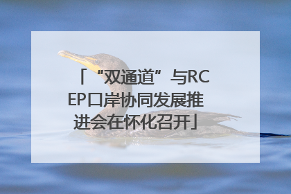 “双通道”与RCEP口岸协同发展推进会在怀化召开