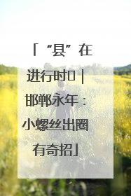 “县”在进行时⑬｜邯郸永年：小螺丝出圈有奇招