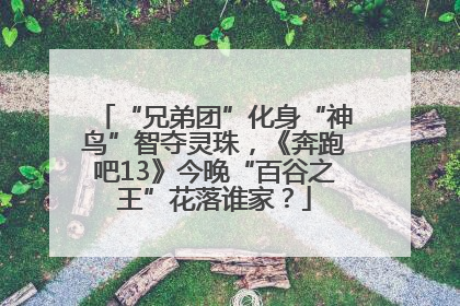 “兄弟团”化身“神鸟”智夺灵珠，《奔跑吧13》今晚“百谷之王”花落谁家？