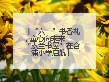 “六一”书香礼，童心向未来——“素兰书屋”在含浦小学启航
