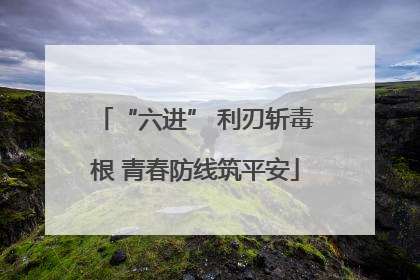 “六进” 利刃斩毒根 青春防线筑平安