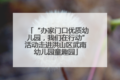 “办家门口优质幼儿园，我们在行动”活动走进洪山区武南幼儿园童趣园