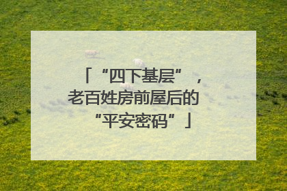 “四下基层”，老百姓房前屋后的“平安密码”