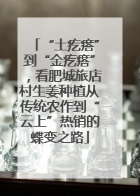 “土疙瘩”到“金疙瘩”，看肥城旅店村生姜种植从传统农作到“云上”热销的蝶变之路