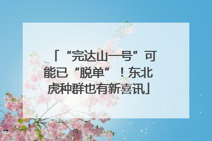 “完达山一号”可能已“脱单”！东北虎种群也有新喜讯