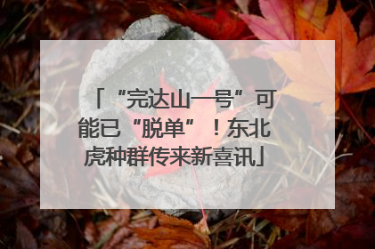 “完达山一号”可能已“脱单”！东北虎种群传来新喜讯
