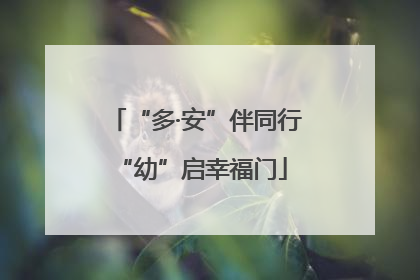 “多·安”伴同行 “幼”启幸福门