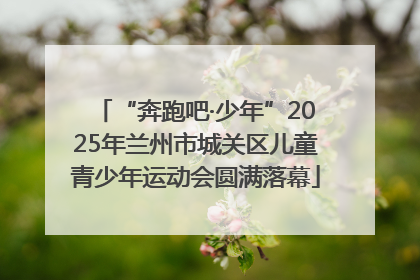 “奔跑吧·少年”2025年兰州市城关区儿童青少年运动会圆满落幕
