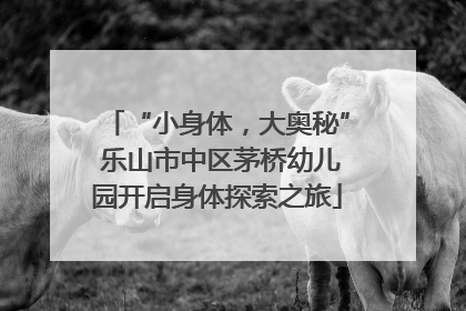 “小身体，大奥秘” 乐山市中区茅桥幼儿园开启身体探索之旅