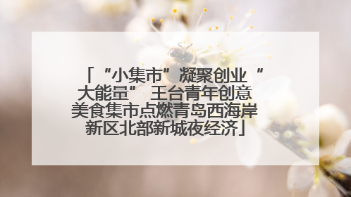 “小集市”凝聚创业“大能量” 王台青年创意美食集市点燃青岛西海岸新区北部新城夜经济