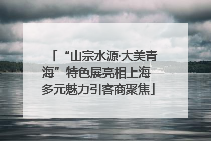 “山宗水源·大美青海”特色展亮相上海 多元魅力引客商聚焦