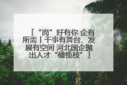 “岗”好有你 企有所需丨干事有舞台、发展有空间 河北国企抛出人才“橄榄枝”