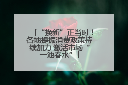 “换新”正当时！各地提振消费政策持续加力 激活市场“一池春水”