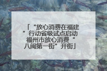 “放心消费在福建”行动省级试点启动 福州市放心消费“八闽第一街”开街