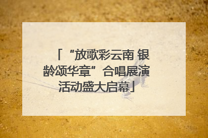 “放歌彩云南 银龄颂华章”合唱展演活动盛大启幕