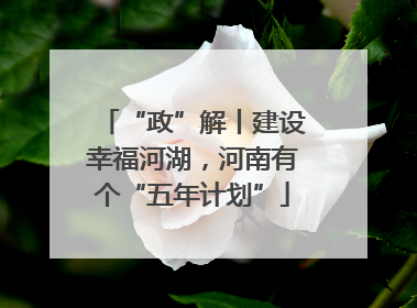 “政”解丨建设幸福河湖，河南有个“五年计划”