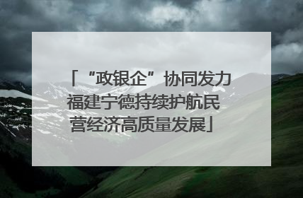 “政银企”协同发力 福建宁德持续护航民营经济高质量发展