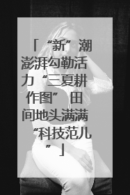 “新”潮澎湃勾勒活力“三夏耕作图” 田间地头满满“科技范儿”