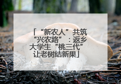“新农人”共筑“兴农路”：返乡大学生“桃三代”让老树结新果