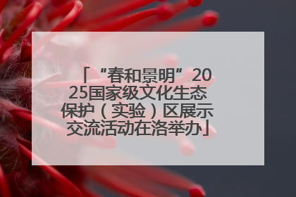 “春和景明”2025国家级文化生态保护（实验）区展示交流活动在洛举办