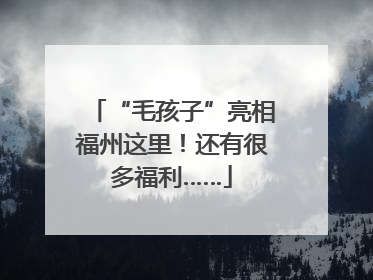 “毛孩子”亮相福州这里！还有很多福利……