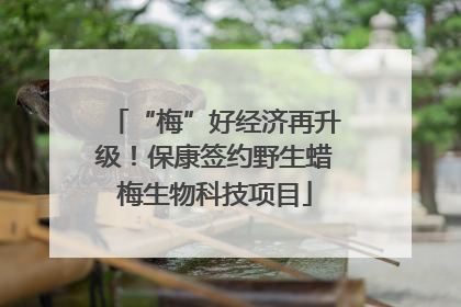 “梅”好经济再升级！保康签约野生蜡梅生物科技项目
