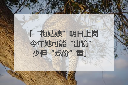 “梅姑娘”明日上岗 今年她可能“出镜”少但“戏份”重