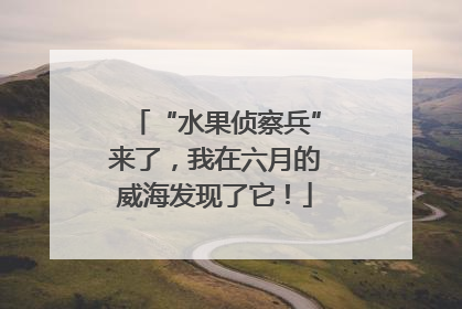 “水果侦察兵”来了，我在六月的威海发现了它！