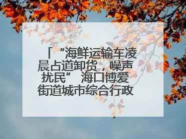 “海鲜运输车凌晨占道卸货，噪声扰民” 海口博爱街道城市综合行政执法中队：将联合交警加强长堤路一带巡逻