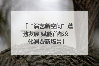“演艺新空间”蓬勃发展 赋能首都文化消费新场景