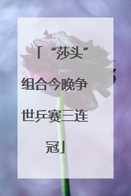 “莎头”组合今晚争世乒赛三连冠
