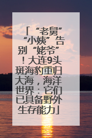 “老舅”“小姨”告别“姥爷”！大连9头斑海豹重归大海，海洋世界：它们已具备野外生存能力